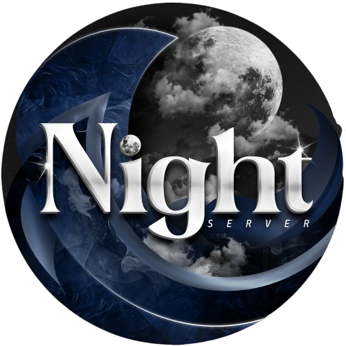 Night Bot Rental Logo